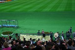 IMG_0299