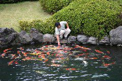 IMG_0396