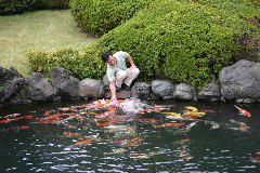 IMG_0397
