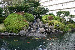 IMG_0398