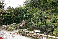 IMG_0427