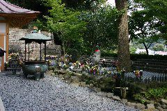 IMG_0428