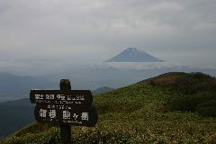 IMG_0469