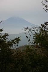 IMG_0476