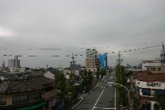 IMG_0501