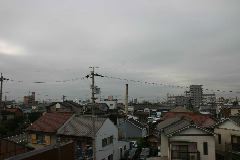 IMG_0504