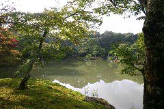 IMG_0525