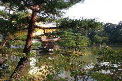 IMG_0530