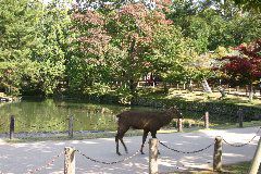 IMG_0644