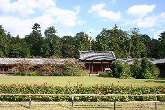 IMG_0647