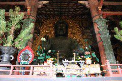 IMG_0650