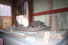 IMG_0658