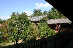 IMG_0663