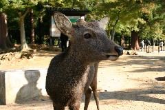 IMG_0670