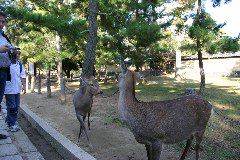 IMG_0674