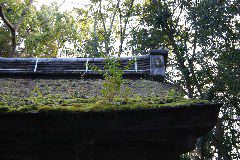 IMG_0688