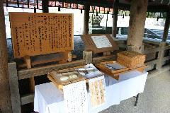 IMG_0696