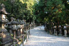 IMG_0701