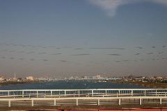 IMG_0828